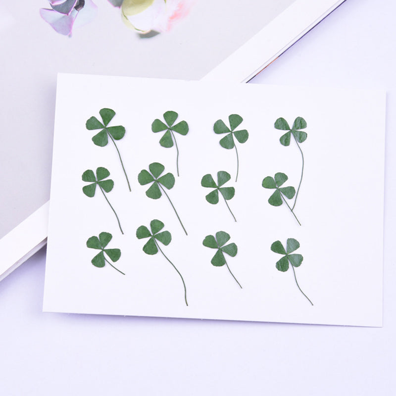 Kokorosa Real Dried Flower Four Leaf Clover Craft Diy Accessories (12PCS)