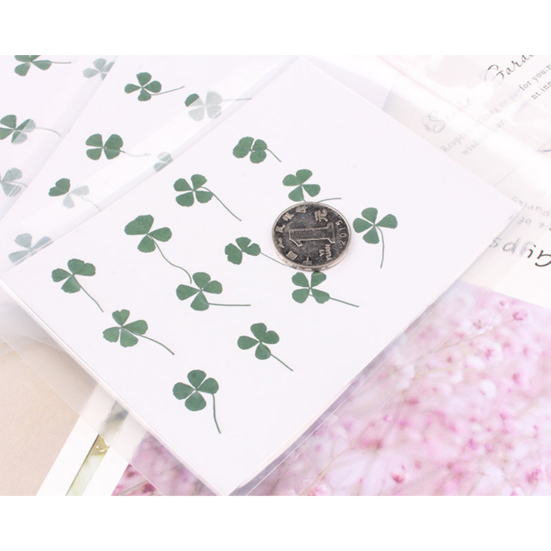 Kokorosa Real Dried Flower Four Leaf Clover Craft Diy Accessories (12PCS)