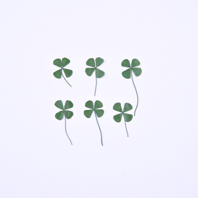 Kokorosa Real Dried Flower Four Leaf Clover Craft Diy Accessories (12PCS)