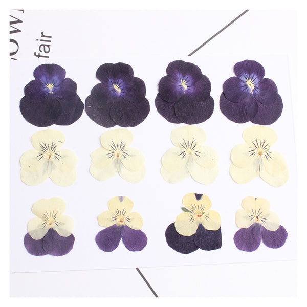 Kokorosa Real Dried Flower Pansy Craft Diy Accessories (12PCS)