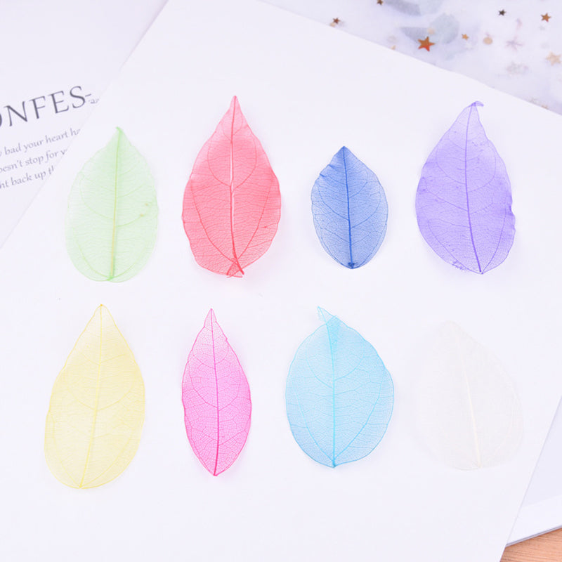 Kokorosa Real Dried Leaves Leaf Vein Bookmark Craft Diy Accessories