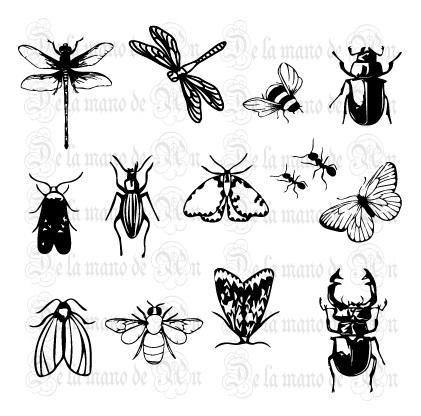Nature Insects Stamps - kokorosastudio.com